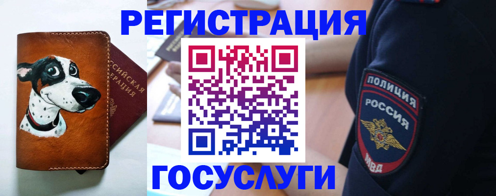 временная регистрация в квартире в Петровск-Забайкальском